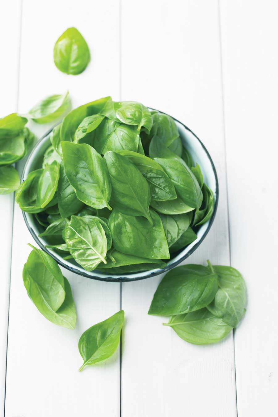 Basil Source Uses for Basil - Mother Earth Living